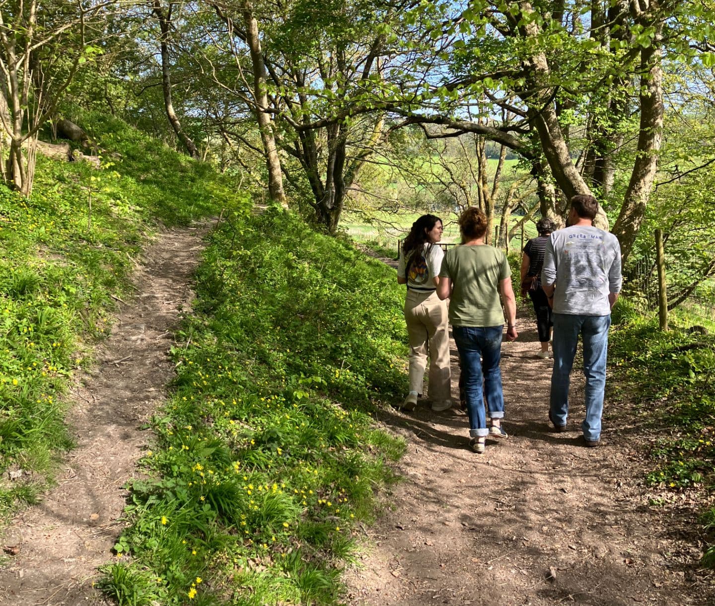 Let Visitors Explore